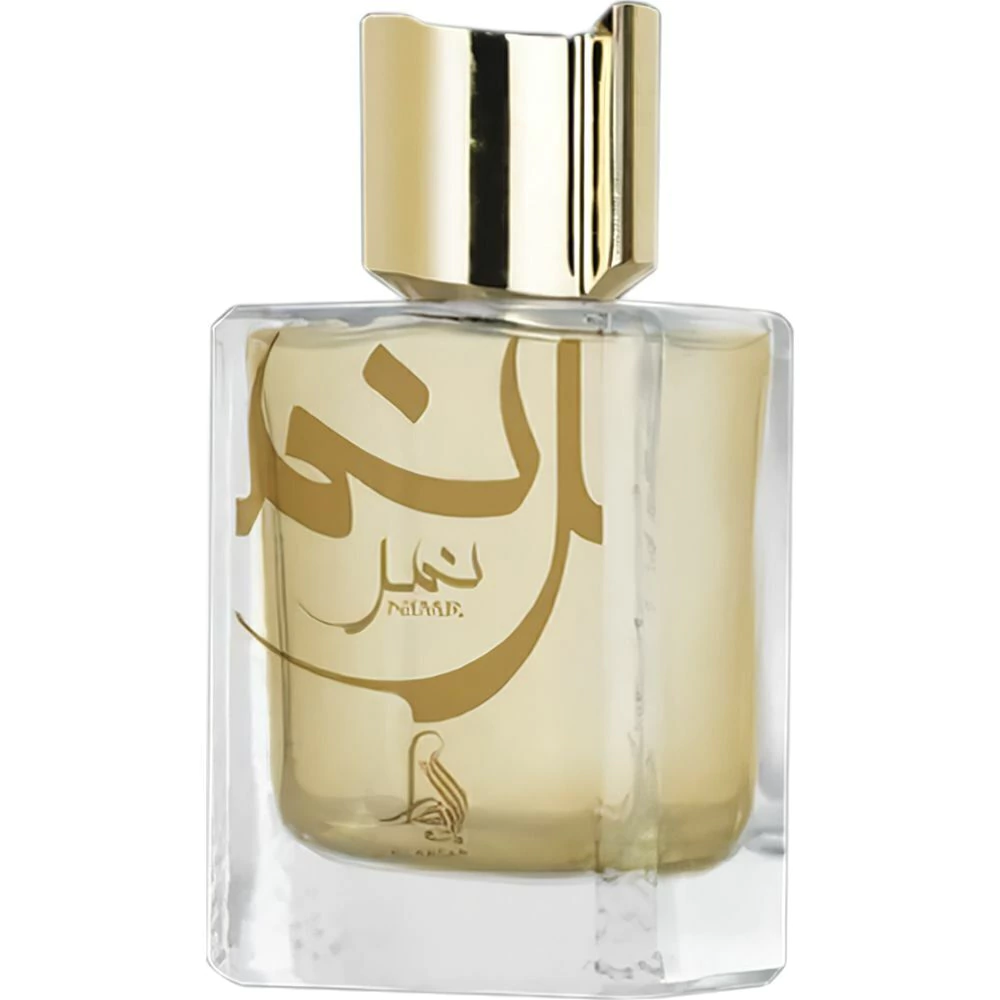 Al Absar Nimr Hombre